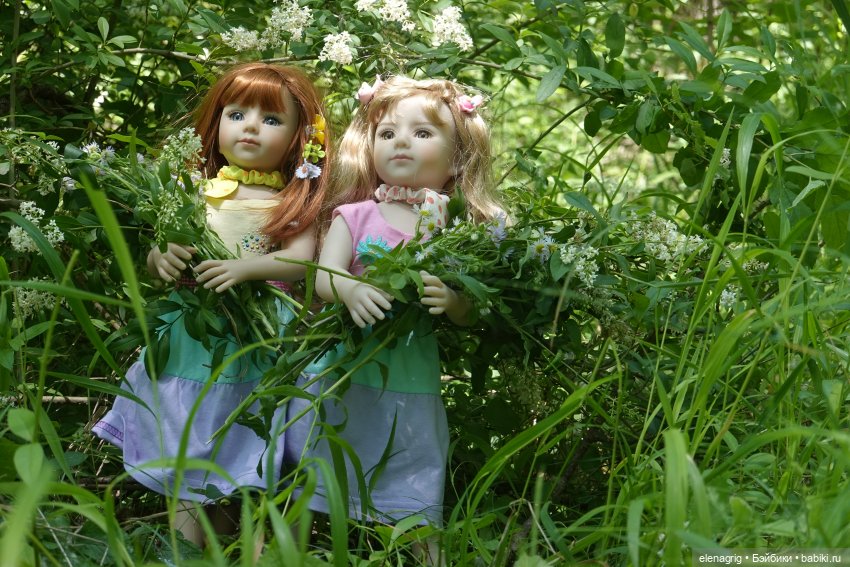 Maru and Friends