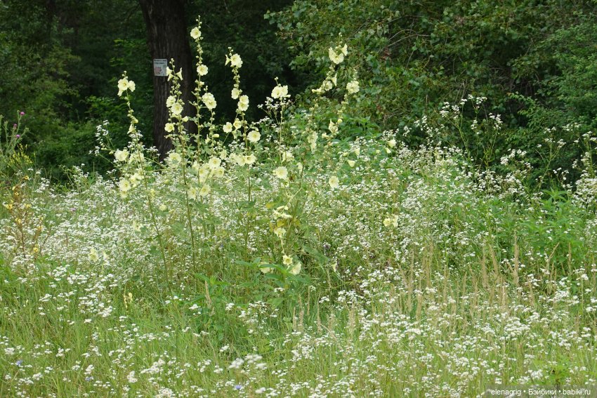 Коллекционные куклы Дианы Эффнер, Dianna Effner