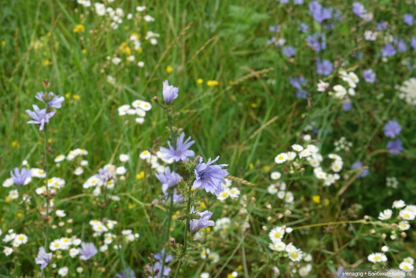 Коллекционные куклы Дианы Эффнер, Dianna Effner