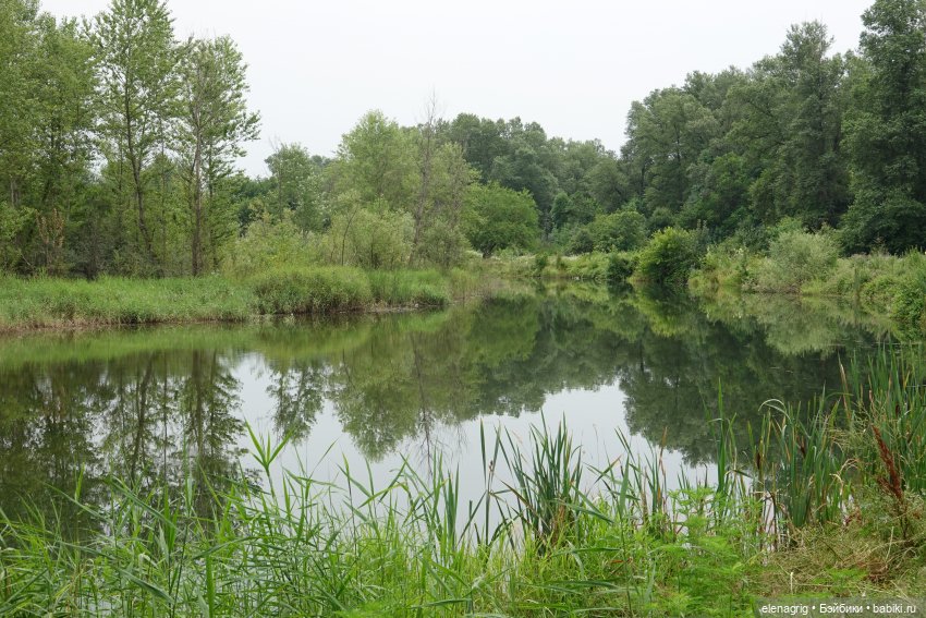 Коллекционные куклы Дианы Эффнер, Dianna Effner