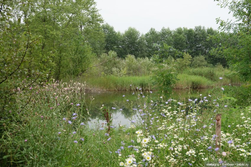 Марьяна и лето — Куклы Dianna Effner (Эффнер) из винила: Little Darling