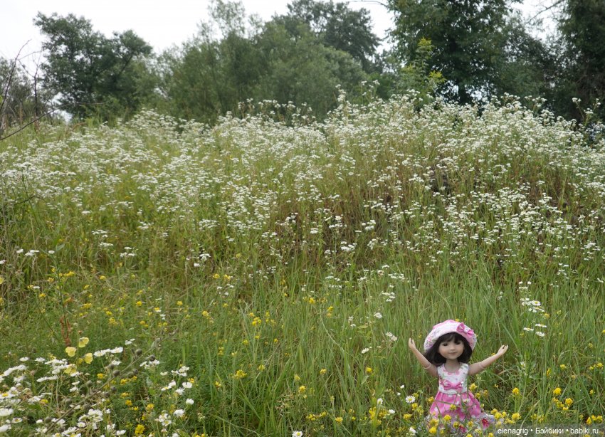 Коллекционные куклы Дианы Эффнер, Dianna Effner