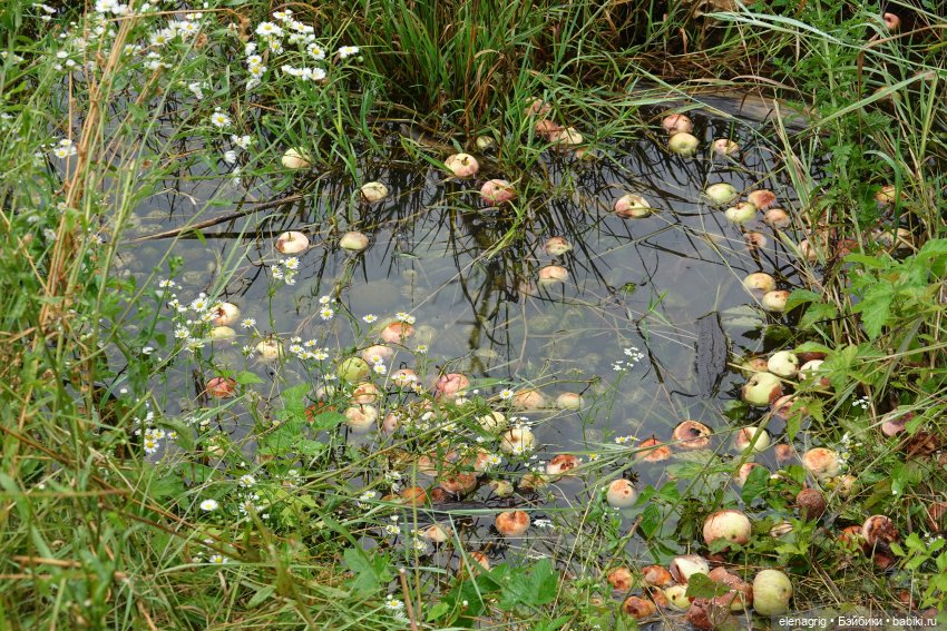 Коллекционные куклы Дианы Эффнер, Dianna Effner