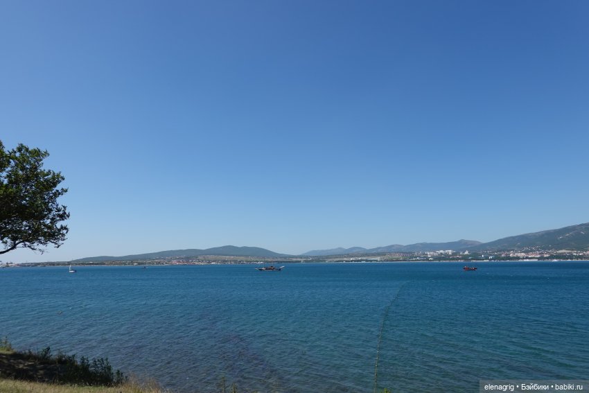 Море, я люблю тебя | Бэйбики Море, я люблю тебя — Куклы Ruby Red (Руби Ред) Fashion Friends: Siblies (фото 2)