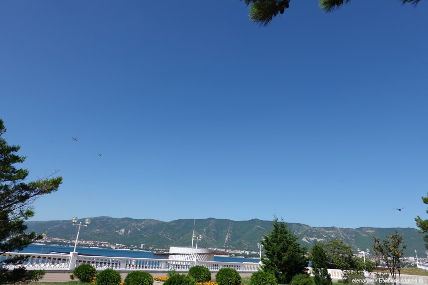 Море, я люблю тебя | Бэйбики Море, я люблю тебя — Куклы Ruby Red (Руби Ред) Fashion Friends: Siblies (фото 5)