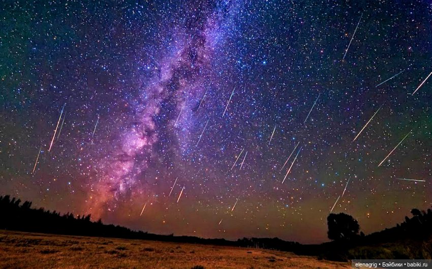 Август, астры — Куклы Dianna Effner (Эффнер) из винила: Little Darling