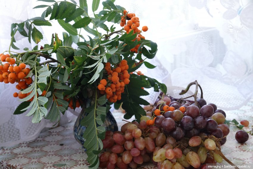 Август, астры — Куклы Dianna Effner (Эффнер) из винила: Little Darling (фото 9)