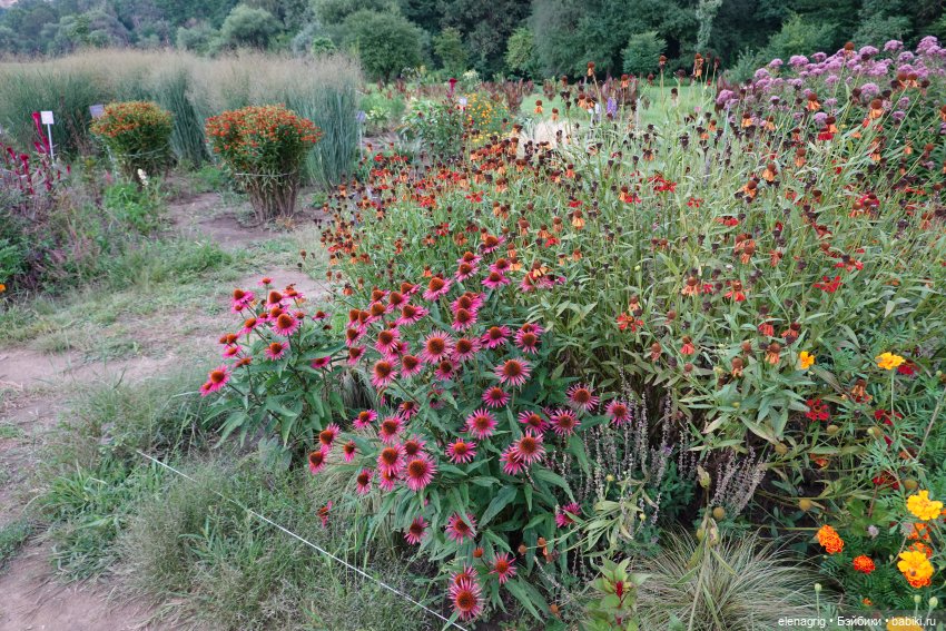 Не было печали, просто уходило лето (фото 5)