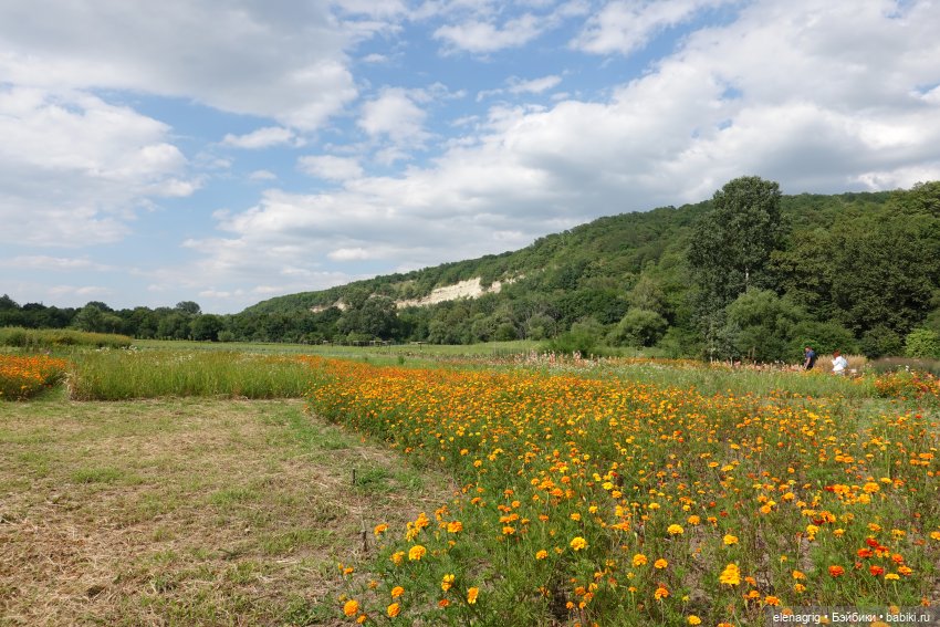 Не было печали, просто уходило лето