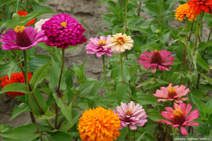 Не было печали, просто уходило лето