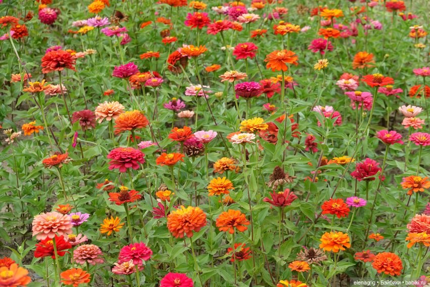 Не было печали, просто уходило лето