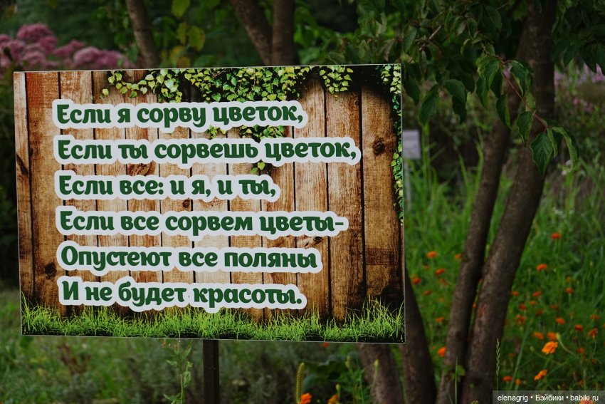 Не было печали, просто уходило лето (фото 4)