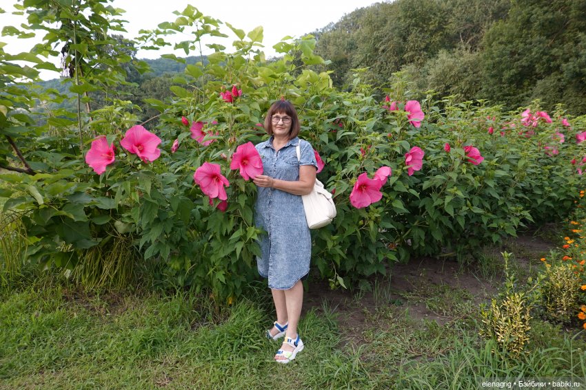 Не было печали, просто уходило лето (фото 3)