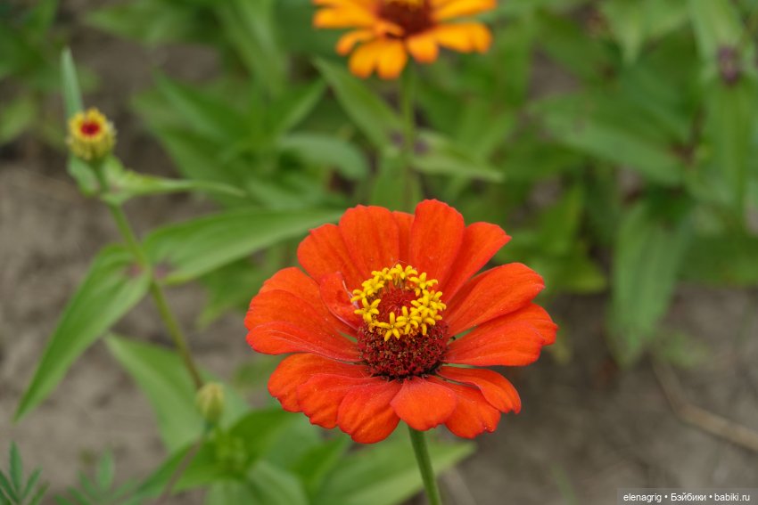 Не было печали, просто уходило лето