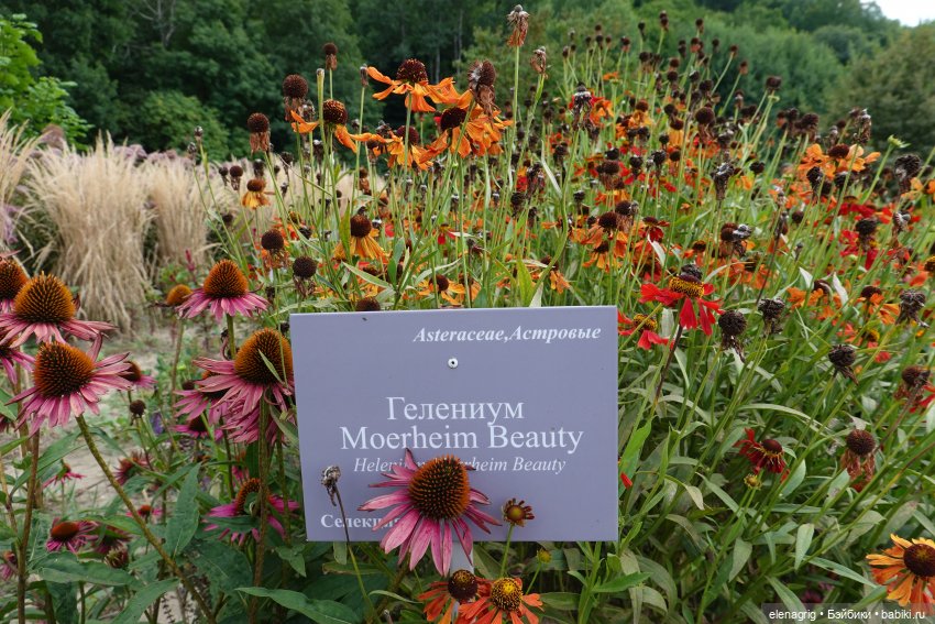 Не было печали, просто уходило лето