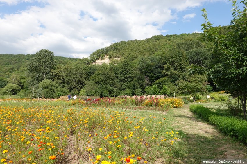 Не было печали, просто уходило лето