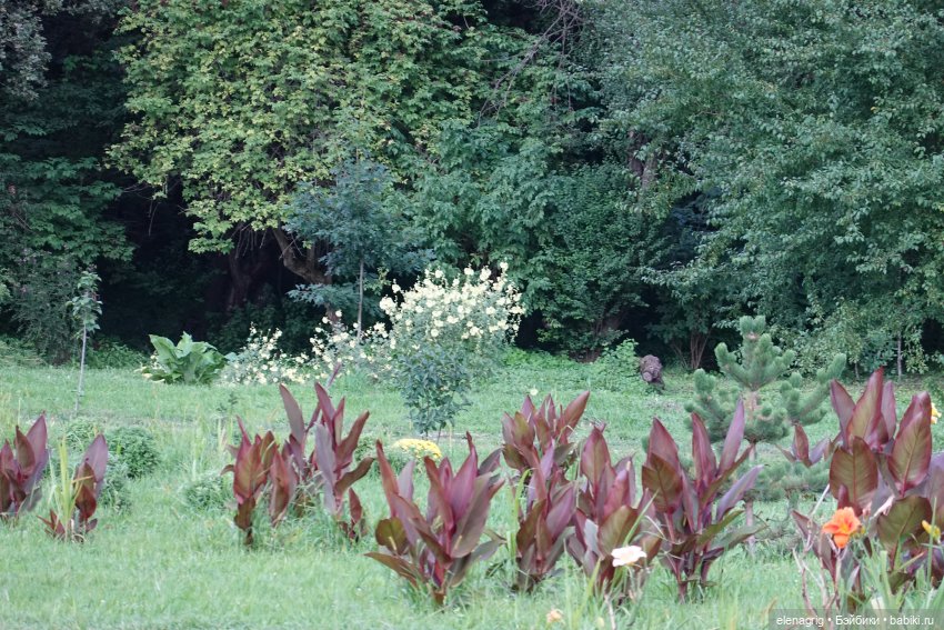 Не было печали, просто уходило лето (фото 9)