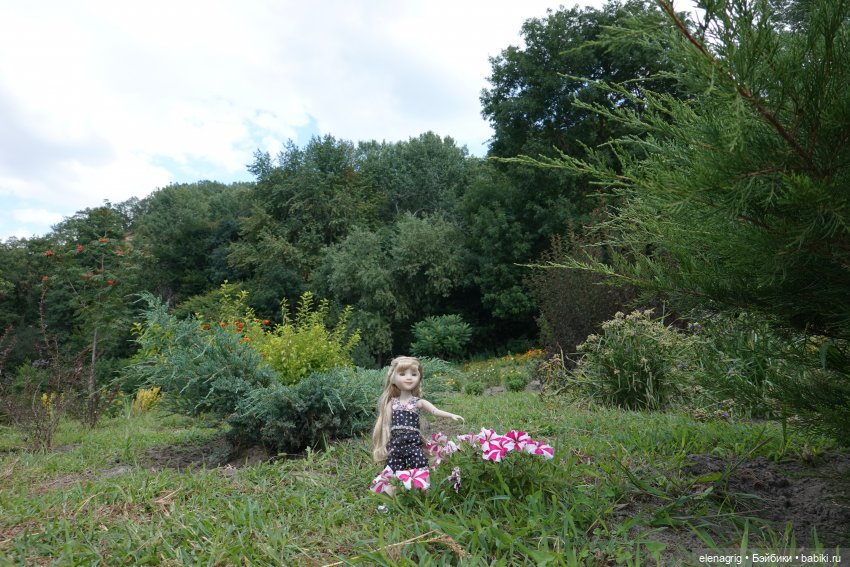 Не было печали, просто уходило лето (фото 10)