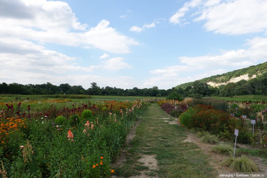 Не было печали, просто уходило лето