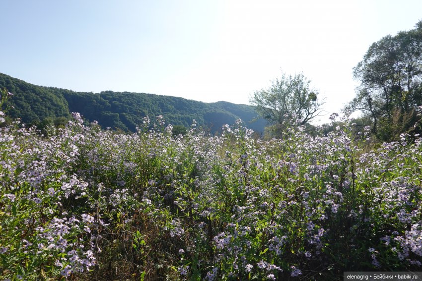 Сентябрь ещё не осень | Бэйбики Сентябрь ещё не осень — Куклы Ruby Red (Руби Ред) Fashion Friends: Siblies (фото 3)