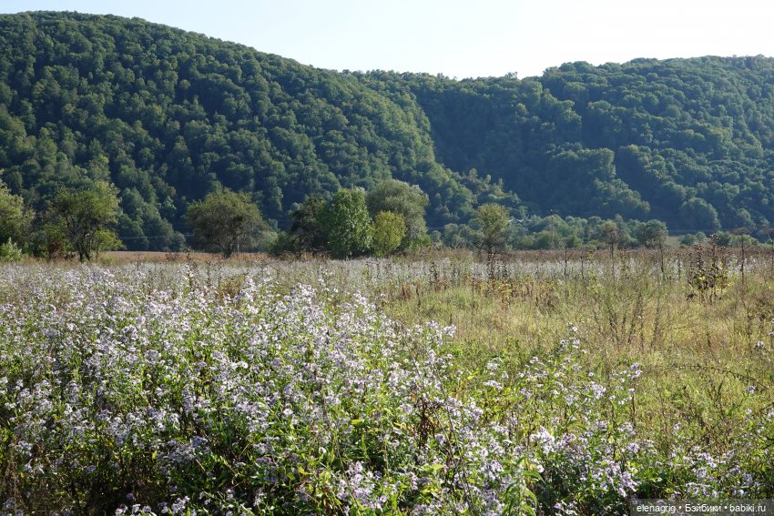 Сентябрь ещё не осень | Бэйбики Сентябрь ещё не осень — Куклы Ruby Red (Руби Ред) Fashion Friends: Siblies (фото 5)