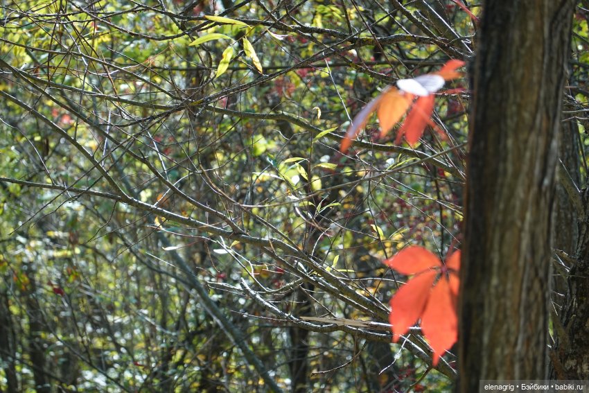 Октябрь уж наступил — Куклы Kidz'n'Cats (Соня Хартман): шарнирные 46 см (фото 3)