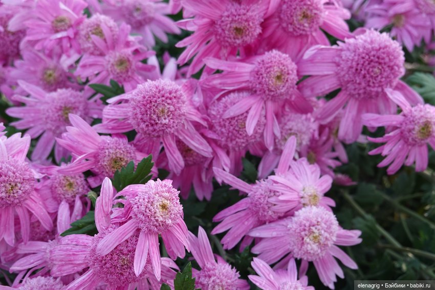 Первый день ноября — Болталка и разговоры обо всем: жизнь