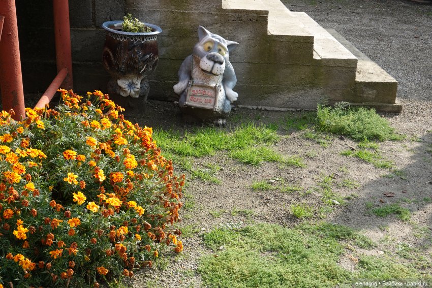 Первый день ноября — Болталка и разговоры обо всем: жизнь