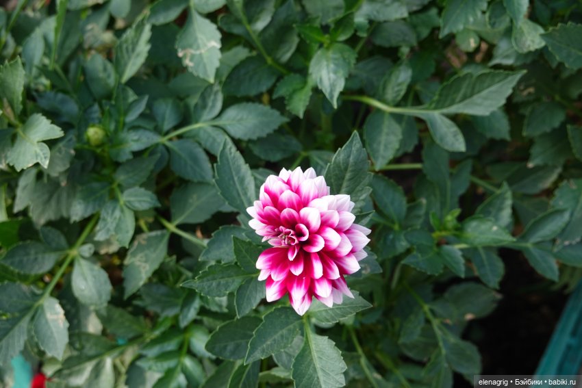 Первый день ноября — Болталка и разговоры обо всем: жизнь