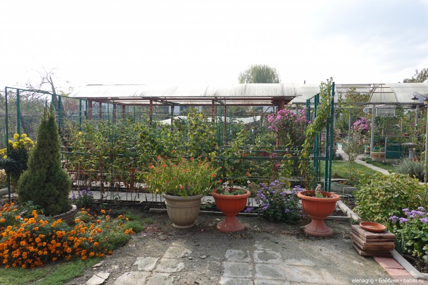 Первый день ноября — Болталка и разговоры обо всем: жизнь