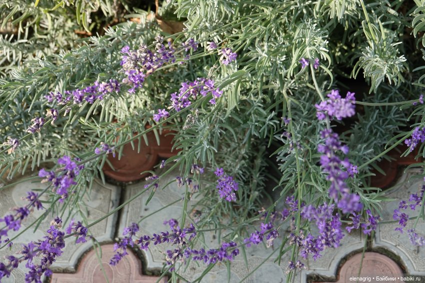 Первый день ноября — Болталка и разговоры обо всем: жизнь