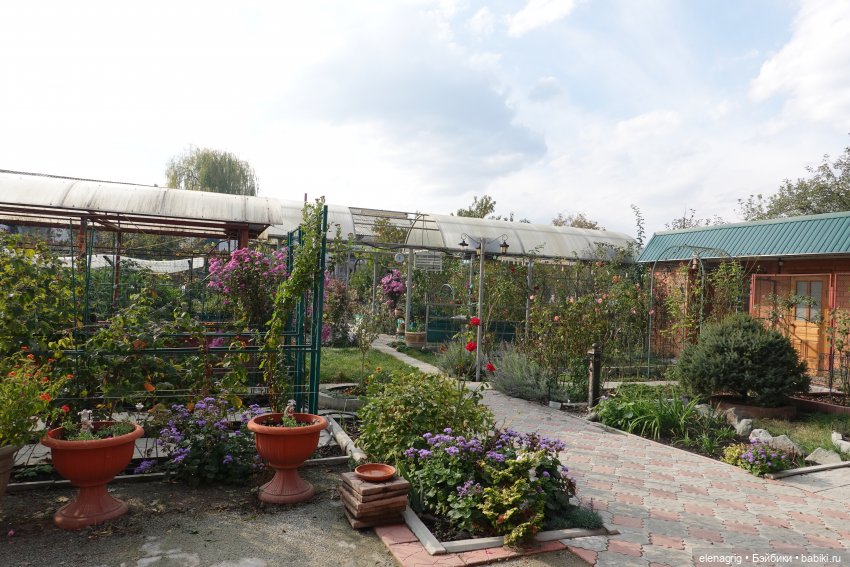 Первый день ноября — Болталка и разговоры обо всем: жизнь