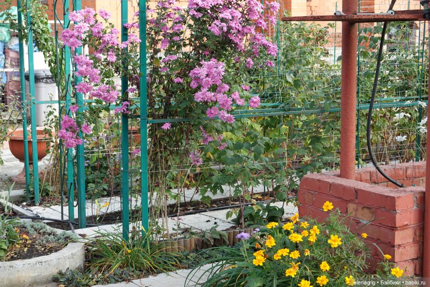 Первый день ноября — Болталка и разговоры обо всем: жизнь