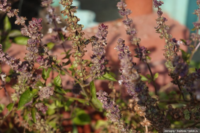 Первый день ноября — Болталка и разговоры обо всем: жизнь (фото 6)