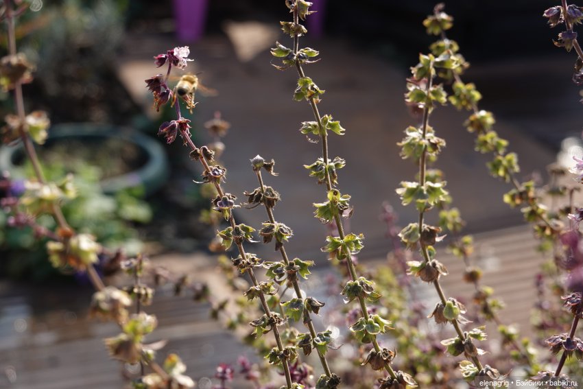 Первый день ноября — Болталка и разговоры обо всем: жизнь (фото 8)