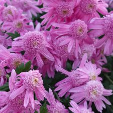 Первый день ноября