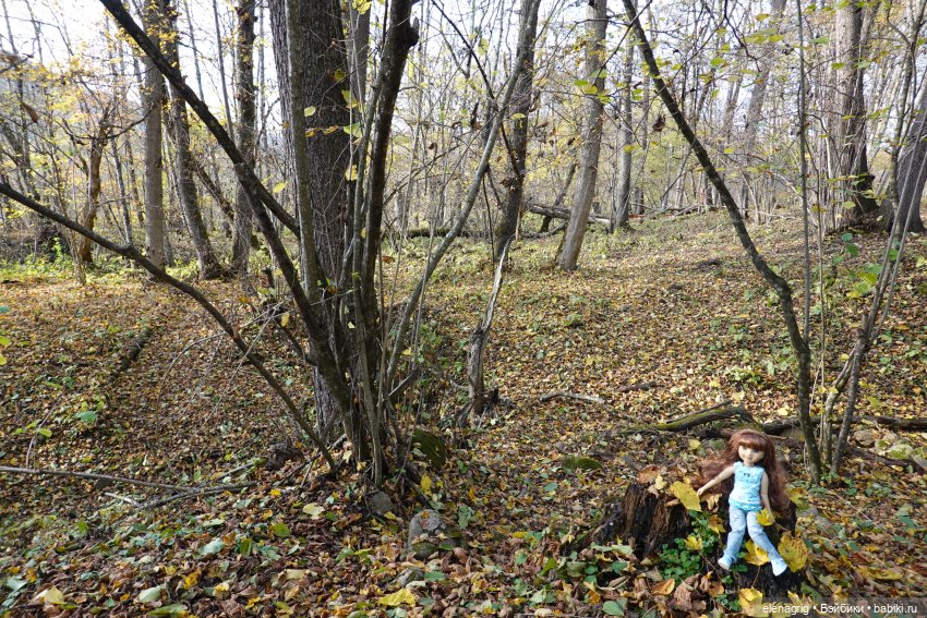 Коллекционные куклы Дианы Эффнер, Dianna Effner