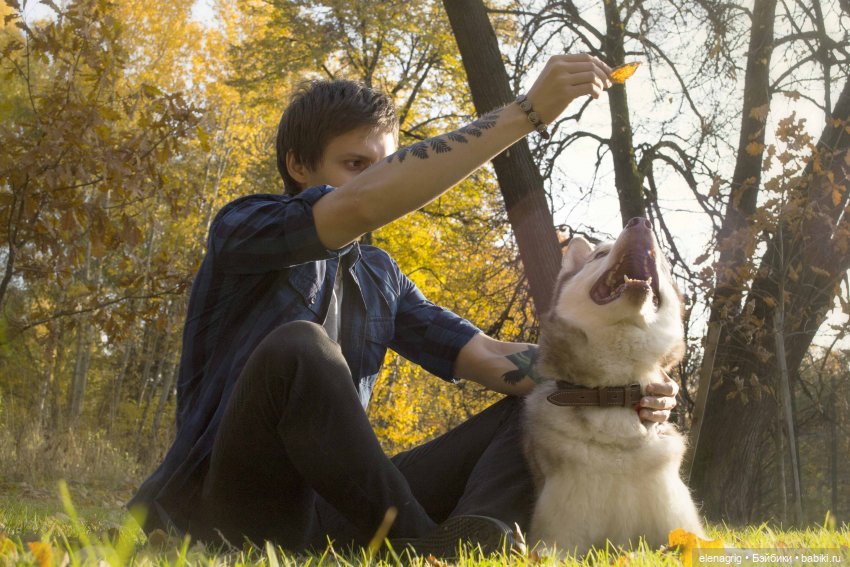 Международный день домашних животных или мы в ответе за тех, кого приручили (фото 8)