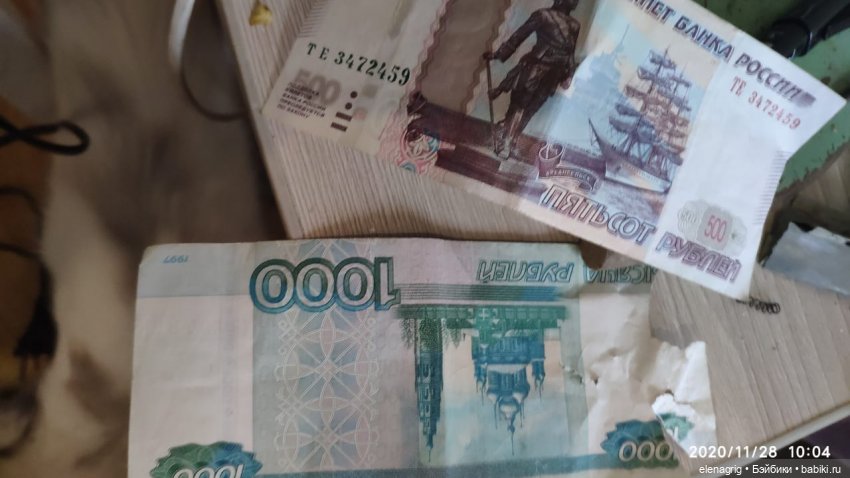 Международный день домашних животных или мы в ответе за тех, кого приручили (фото 10)