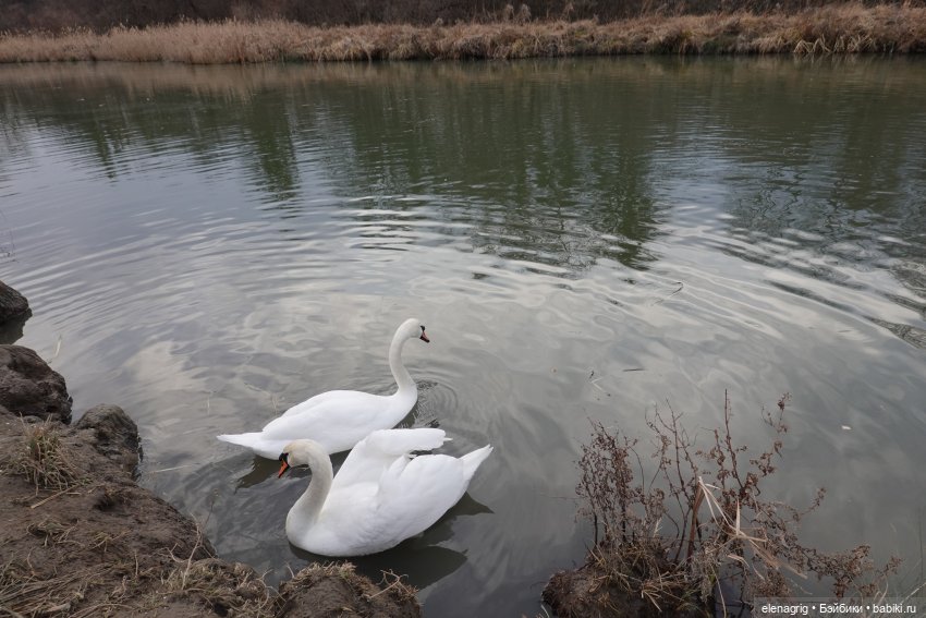 Кайла Руби Ред - мой новогодний подарок