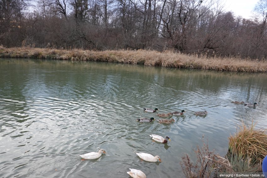 Кайла Руби Ред - мой новогодний подарок (фото 10)