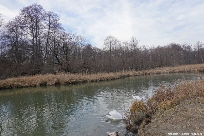 Кайла Руби Ред - мой новогодний подарок (фото 2)