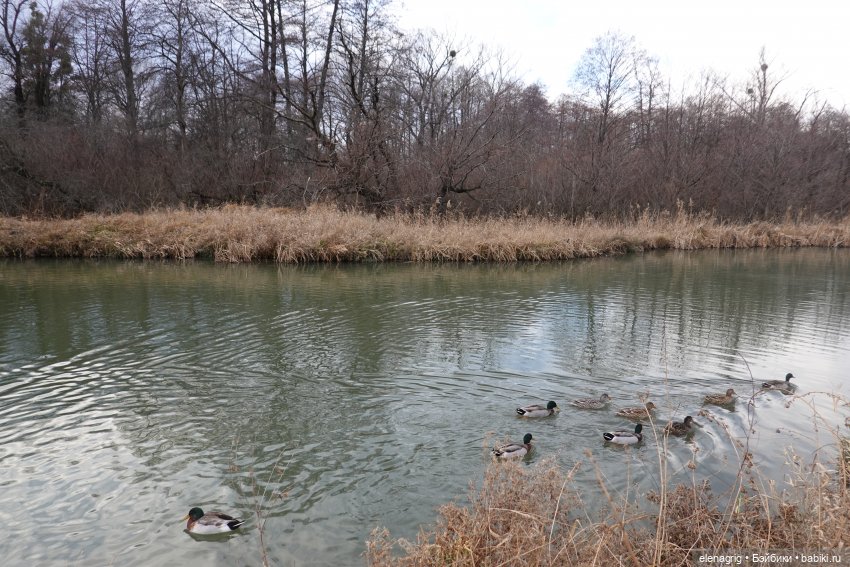 Кайла Руби Ред - мой новогодний подарок (фото 9)