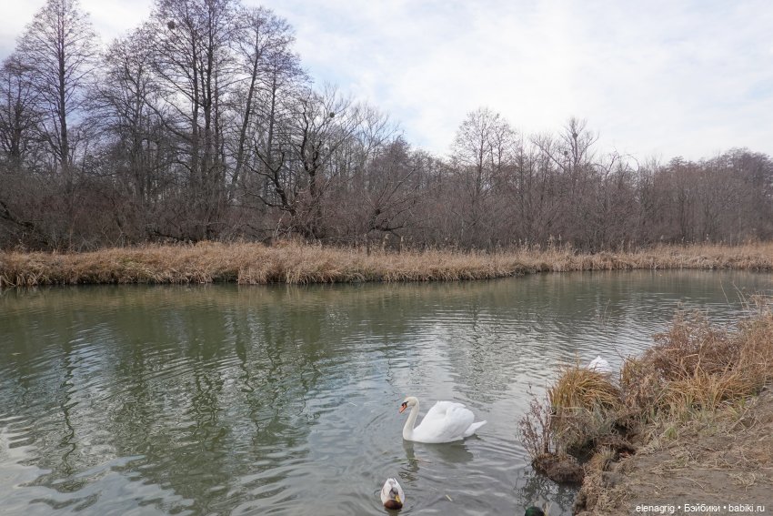 Кайла Руби Ред - мой новогодний подарок (фото 3)