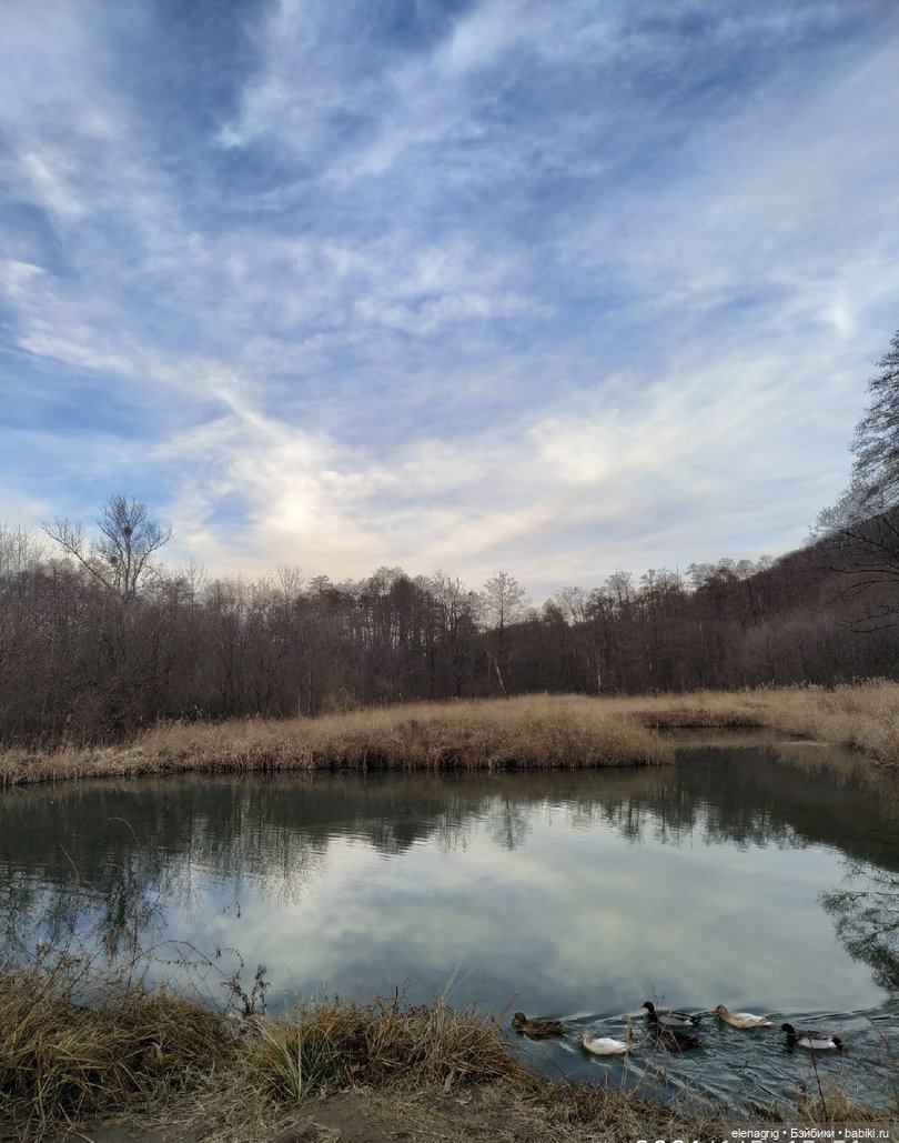 Кайла Руби Ред - мой новогодний подарок