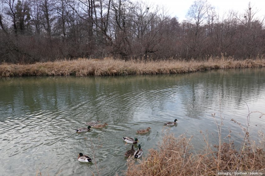 Кайла Руби Ред - мой новогодний подарок (фото 8)