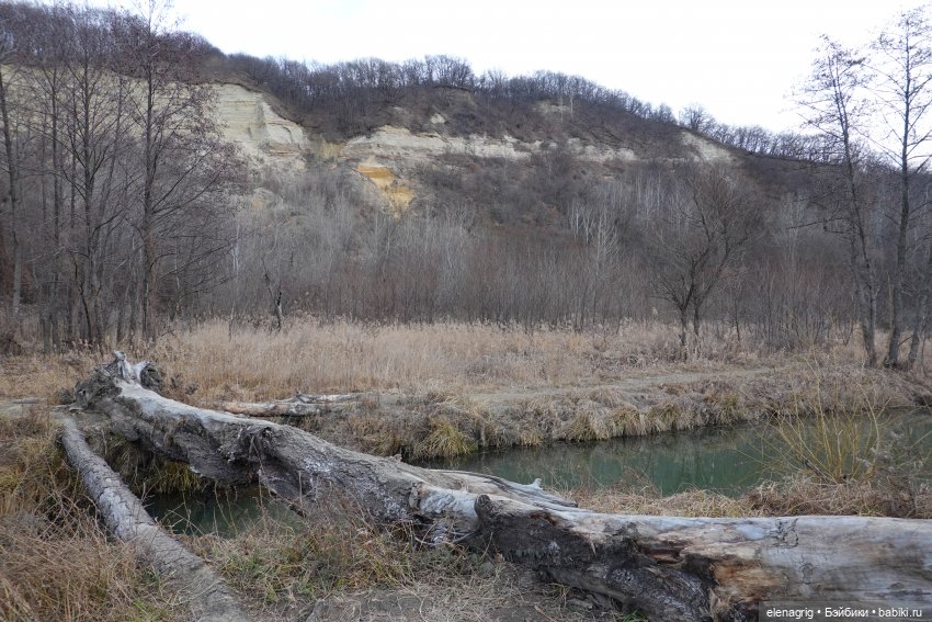 Кайла Руби Ред - мой новогодний подарок