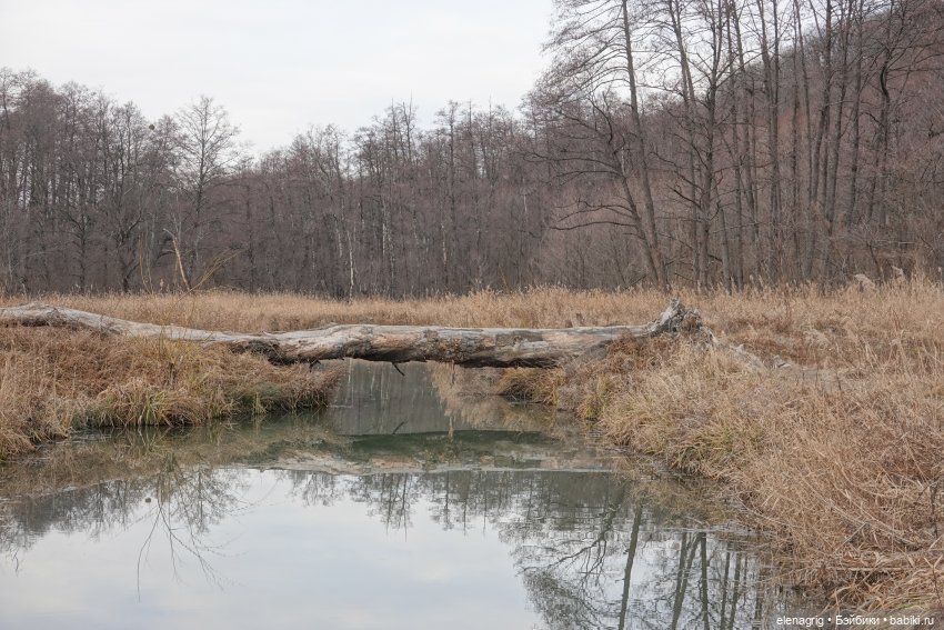 Кайла Руби Ред - мой новогодний подарок