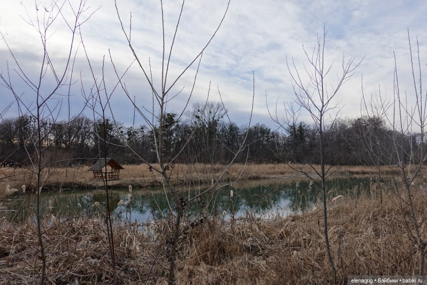 Коллекционные куклы Дианы Эффнер, Dianna Effner