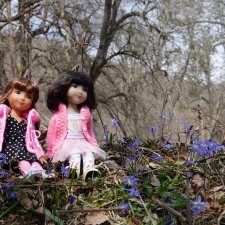 А на опушке возле леса ковер светящихся пролесков